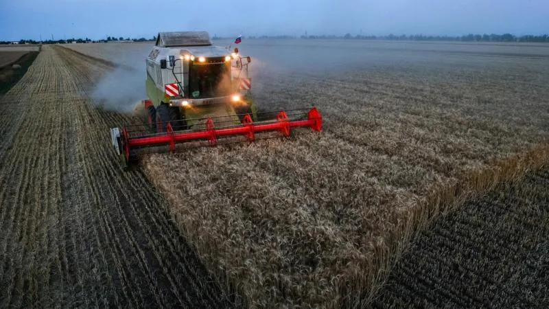 La récolte de céréales en Russie atteint 113,5 millions de tonnes depuis le début de l'année